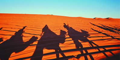 Al Ain tourism Al Ain Safari pinnacle tours and travels