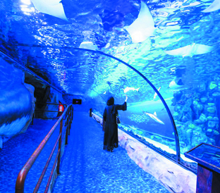 dubai aquarium and underwater zoo dubai city tour UAE Tour Package pinnacle tours and travels