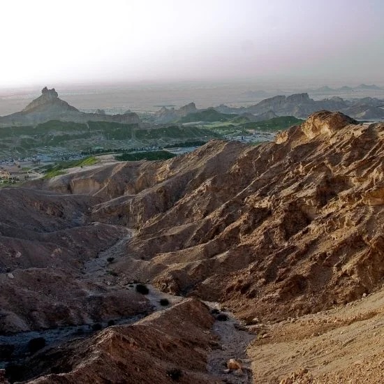 Al Ain city tour package1-UAE tourism-Pinnacle tourism